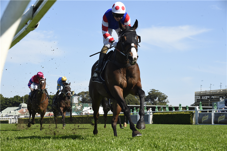 NOT FEINT HEARTED winning the Industry Celebration Day Handicap.