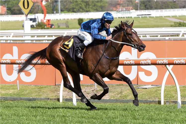 ODEUM winning the Schweppes Thousand Guineas at Royal Caulfield in Australia.