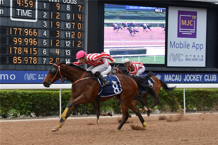 OJALA winning the THE NANHAI