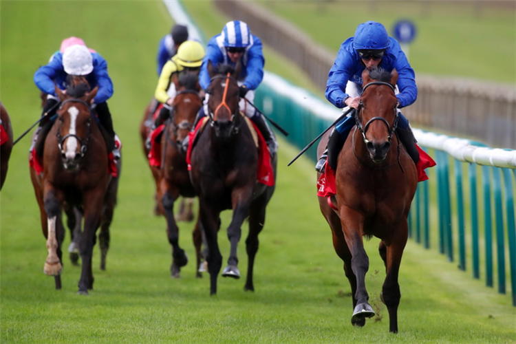ONE RULER winning the Emirates Autumn Stakes (Group 3)