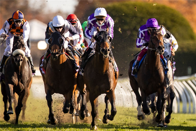 ORDER OF AUSTRALIA (Centre White Cap) winning the Breeders' Cup Mile at Keeneland in Kentucky.