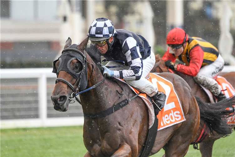 ORDER OF COMMAND winning the Neds Bet Back Handicap in Caulfield, Australia.