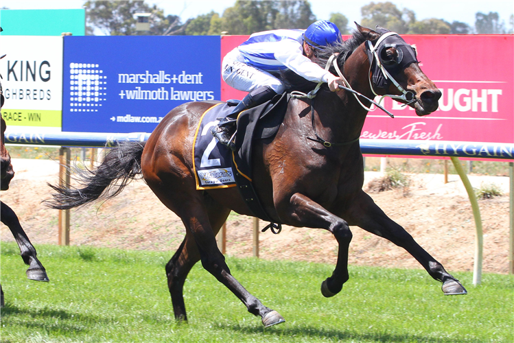 O'REG winning the Shire Of Strathbogie Mdn Plate.