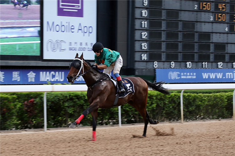 ORIENTAL JOYFUL winning the THE BARCELOS