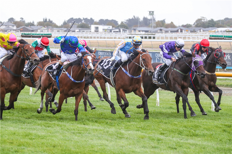 Out Of The Park (white cap and sleeves) prevails in a desperate finish to the Gr.3 Valachi Downs South Island Thoroughbred Breeders’ Stakes (1600m)