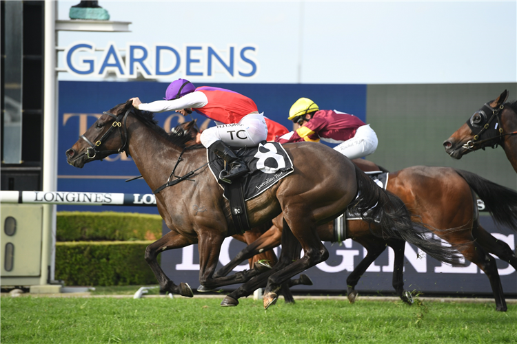 OUTBACK DIVA winning the Rosehill Bowling Club (Bm78).