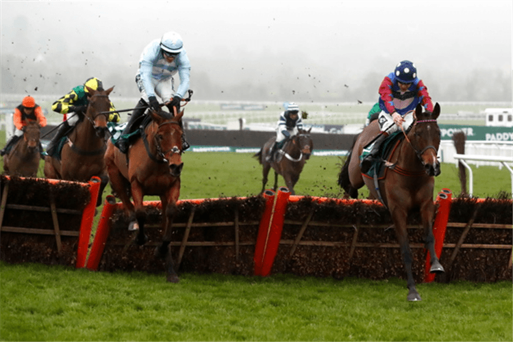 PAISLEY PARK winning the Cleeve Hurdle.