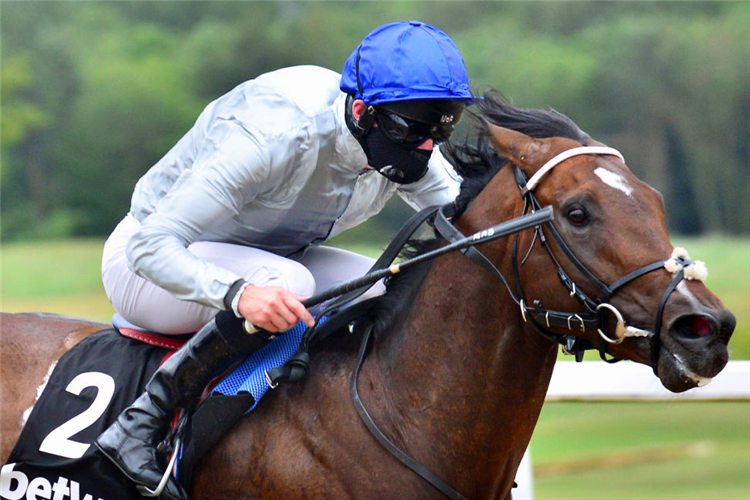 PALACE PIER winning the Betway Heed Your Hunch Handicap in Newcastle upon Tyne, England.