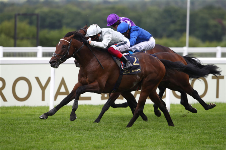 PALACE PIER headlines Day One at Royal Ascot