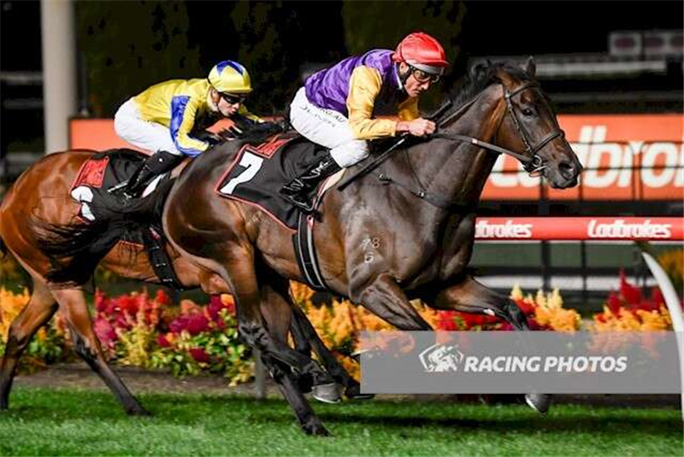 PARADEE winning the Dynamic Print Group Alexandra Stakes.