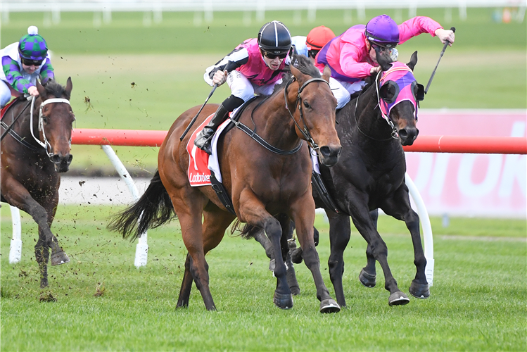 PARIANO winning the Ladbrokes Handicap at Ladbrokes Park Hillside in Springvale, Australia.