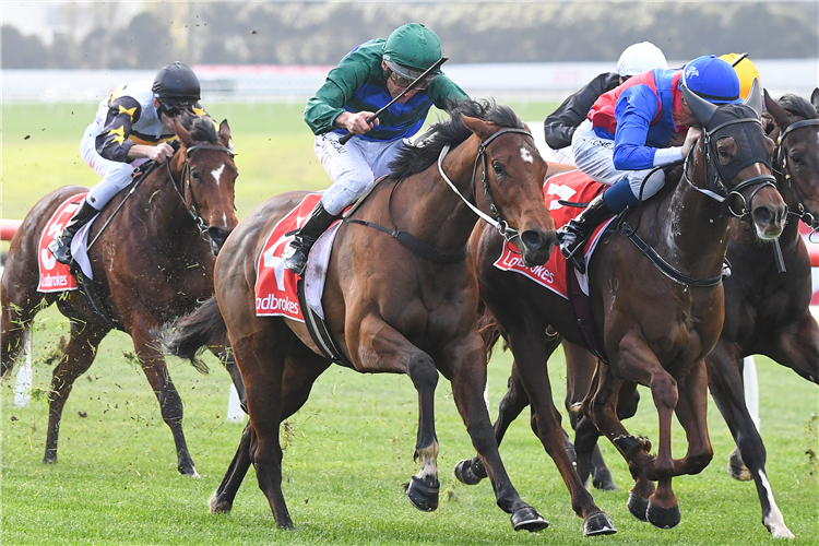 PARLOPHONE winning the Ladbrokes Odds Boost Exotics Handicap at Ladbrokes Park Hillside in Springvale, Australia.