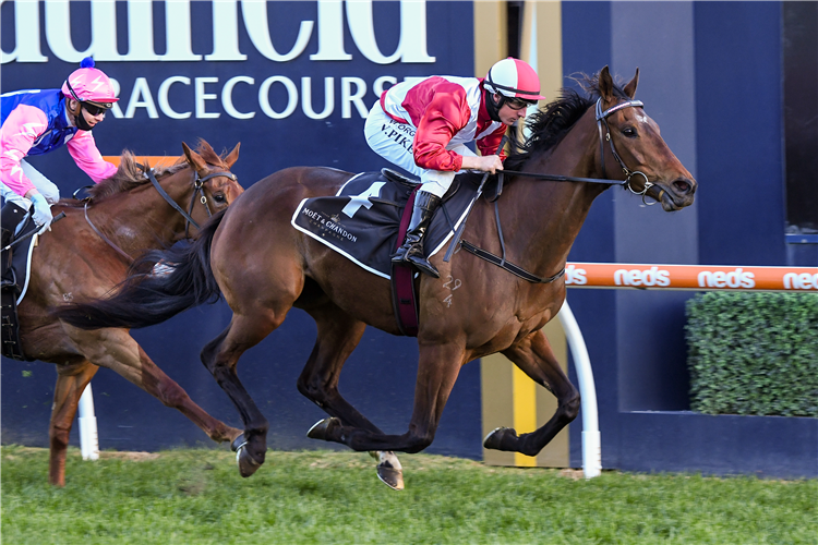 PERFECT JEWEL winning the Moet & Chandon Cockram Stakes.