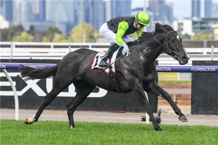 PERSAN winning the G.H. Mumm Mahogany Challenge Final in Flemington, Australia.