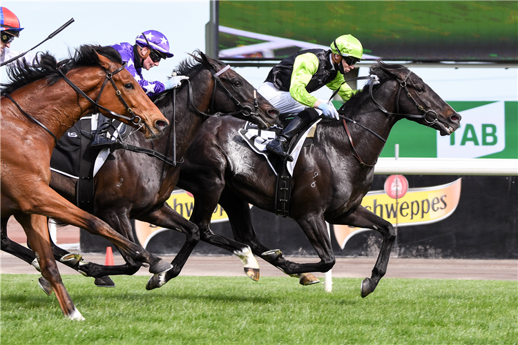 PERSAN winning the The Bart Cummings.