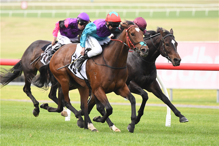 PIERRO BELLE winning the Thoroughbred Club Handicap at Ladbrokes Park Lakeside in Springvale, Australia.