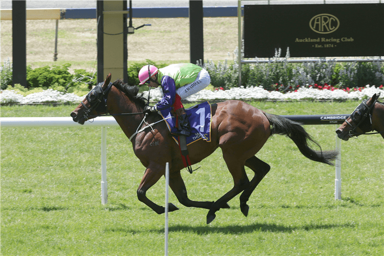 PIMLICO winning the Barfoot & Thompson 3yo