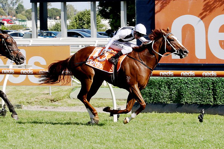 PIPPIE winning the Neds Oakleigh Plate
