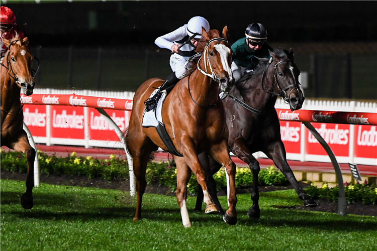 PIPPIE winning the Charter Keck Cramer Moir Stakes at Moonee Valley in Moonee Ponds, Australia.