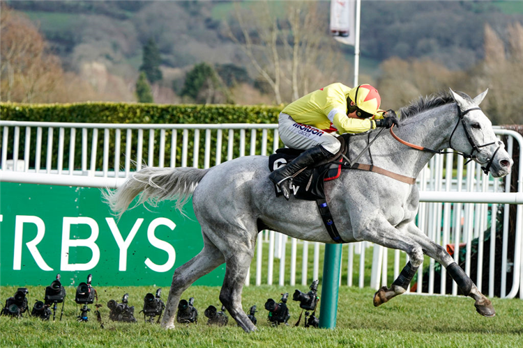 POLITOLOGUE winning the Betway Queen Mother Champion Chase in Cheltenham, England.