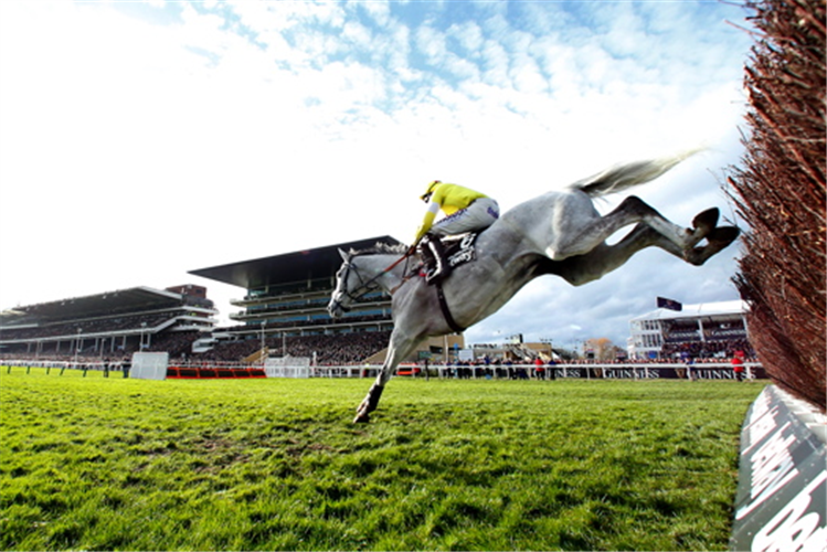 POLITOLOGUE winning the Betway Queen Mother Champion Chase (Grade 1)