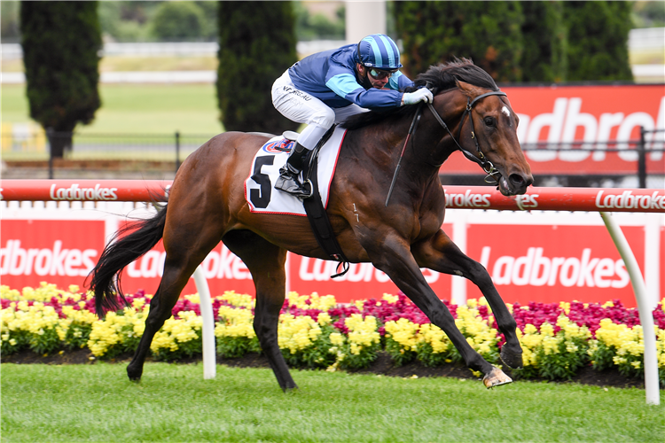 PORTLAND SKY winning the Red Anchor Stks.