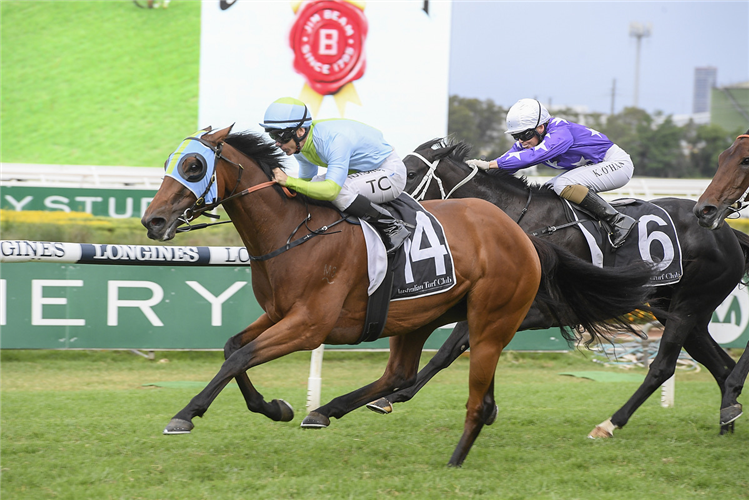 POSITIVE PEACE winning the Jim Beam Emancipation Stakes.