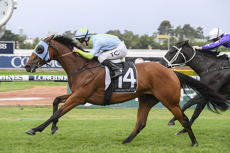 POSITIVE PEACE winning the Jim Beam Emancipation Stakes