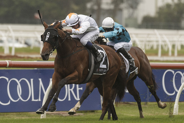 PRAGUE winning the Bowermans Pago Pago Stakes