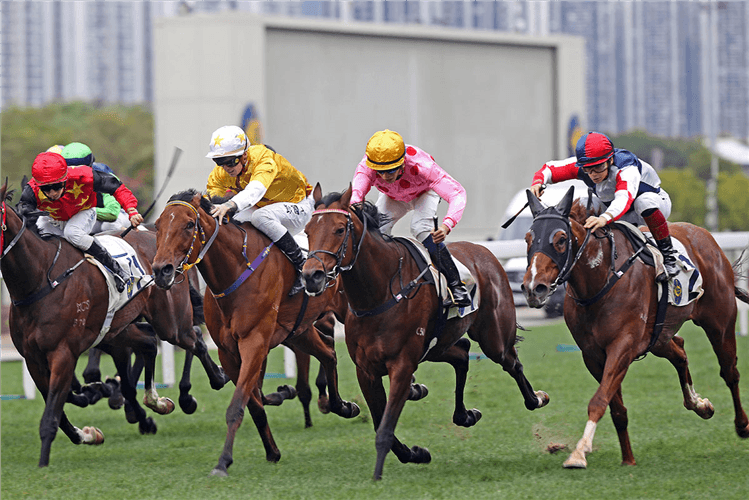 PRECIOUSSHIP winning the Choi Wan Hcp.