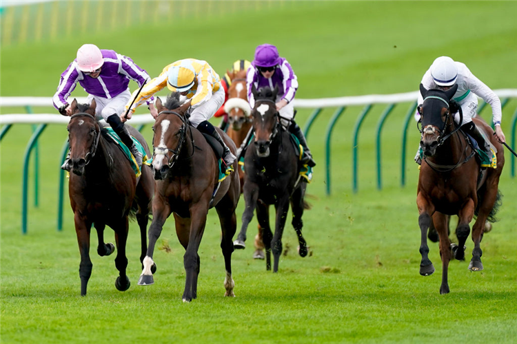 PRETTY GORGEOUS (Yellow/White Cap) winning the Fillies' Mile at Newmarket in England.