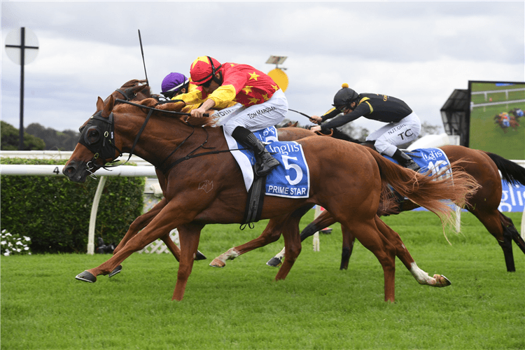 PRIME STAR winning the Inglis Millennium - 2yos.