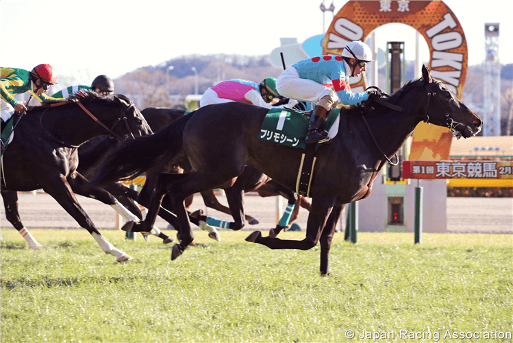 PRIMO SCENE winning the Tokyo Shimbun Hai in Tokyo, Japan.