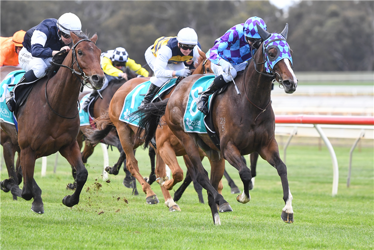 PRINCESS JENNI winning the Apiam Bendigo Cup in Bendigo, Australia.