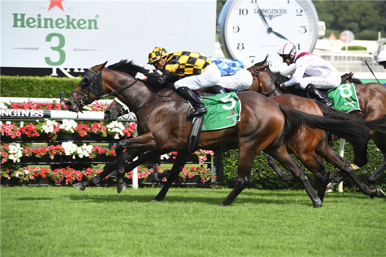 PROBABEEL winning the Heineken 3 Surround Stakes.