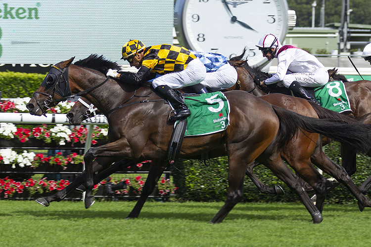 PROBABEEL winning the Heineken 3 Surround Stakes