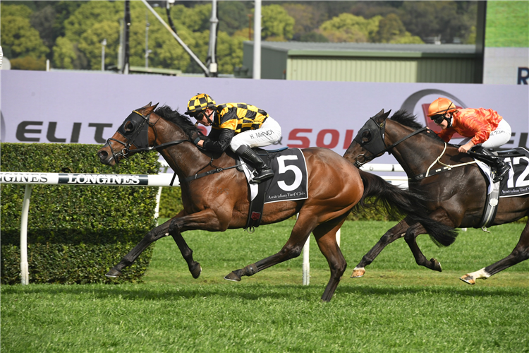 PROBABEEL winning the Bill Ritchie Stakes.