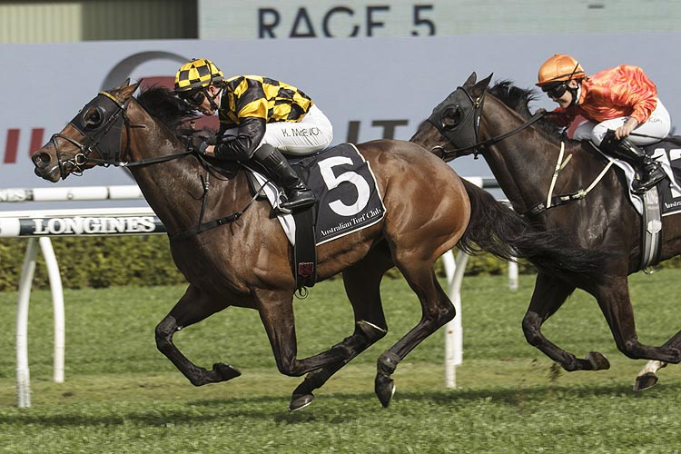 PROBABEEL winning the Bill Ritchie Stakes