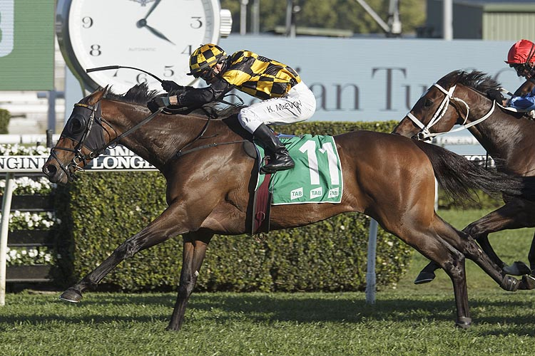 PROBABEEL winning the Tab Epsom