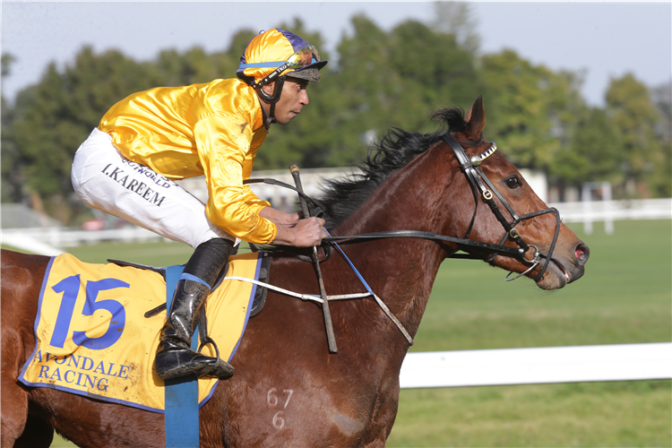 Prosperous made a winning start to her racing career at Avondale on Wednesday.
