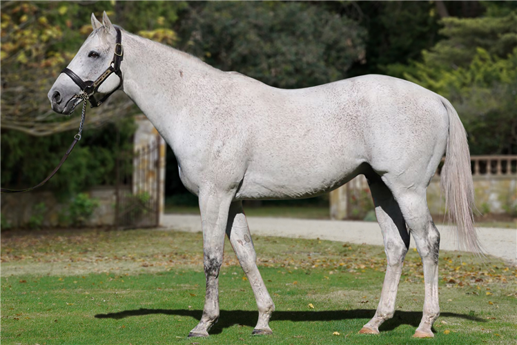 Puissance De Lune.