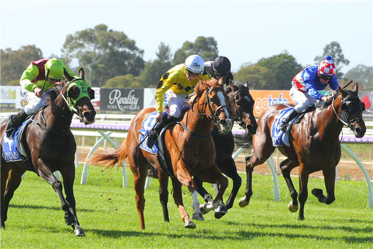 Racing at Wangaratta.