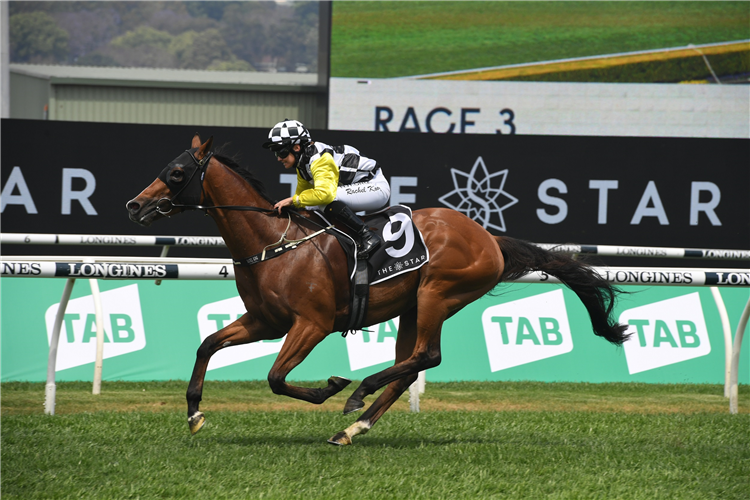 PURPLE SECTOR winning the The Star Mile at Royal Randwick in Australia.