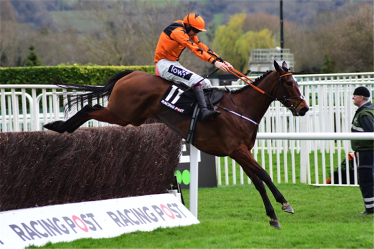 PUT THE KETTLE ON winning the Racing Post Arkle Challenge Trophy Novices' Chase (Grade 1)