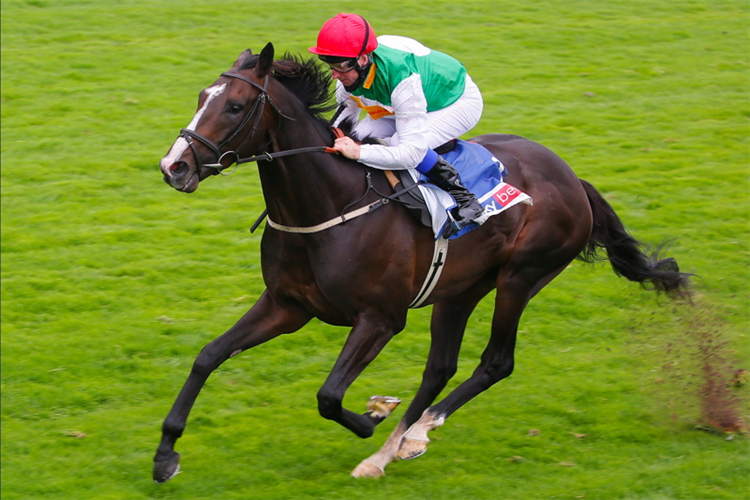 PYLEDRIVER winning the Great Voltigeur Stakes at York in England.