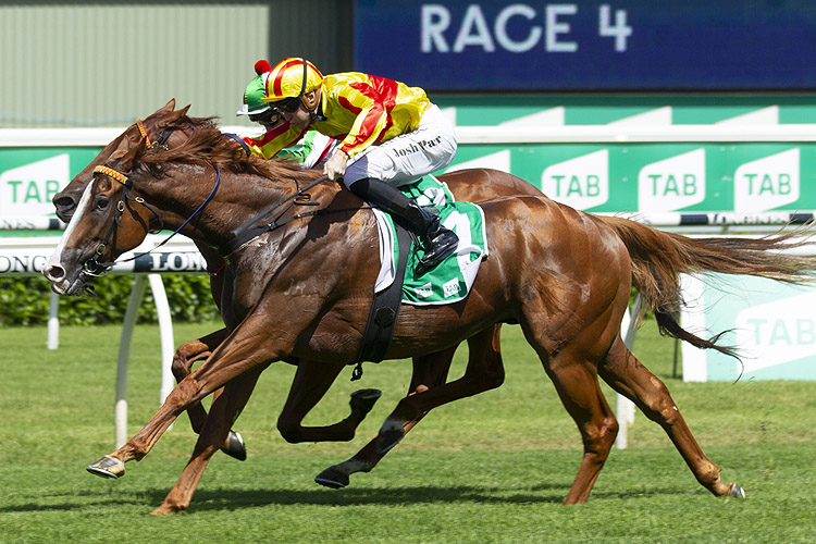 QUACKERJACK winning the Liverpool City Cup