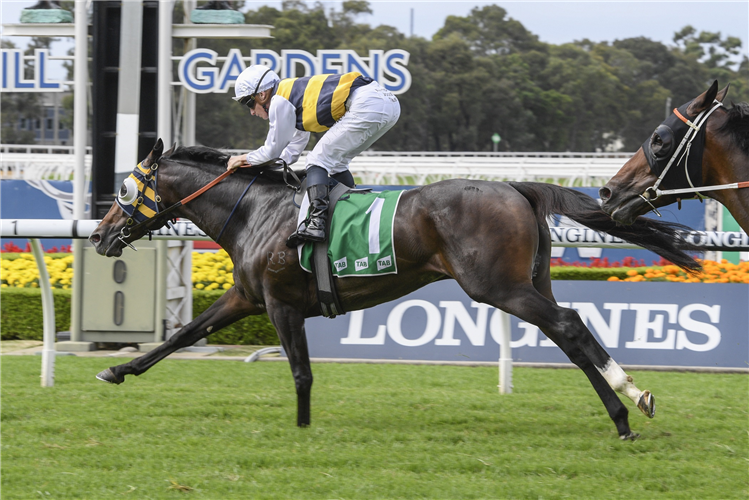 QUICK THINKER winning the Tulloch Stakes.