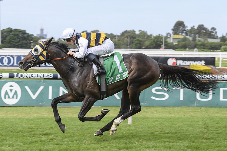 QUICK THINKER winning the Tab Tulloch Stakes