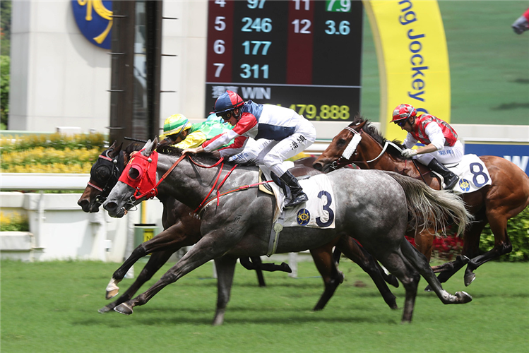 RACING FIGHTER winning the Eagle's Nest Hcp (C3)