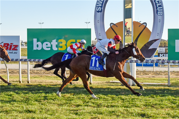 RADIANT WARRIOR winning the Trentham Estate Golden Goblet BM64 Handicap in Swan Hill, Australia.